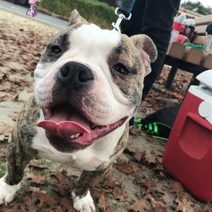 Meet your Posher, Barbara